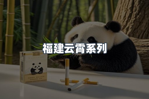 福建云霄系列